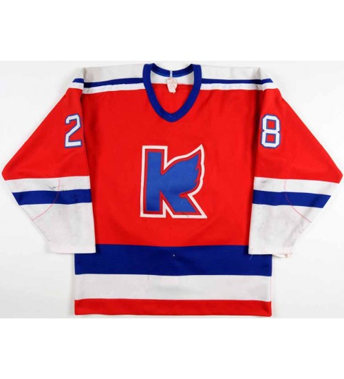 Custom ECHL 1970s Kalamazoo Wings 15 Circa Late Hockey Jersey White